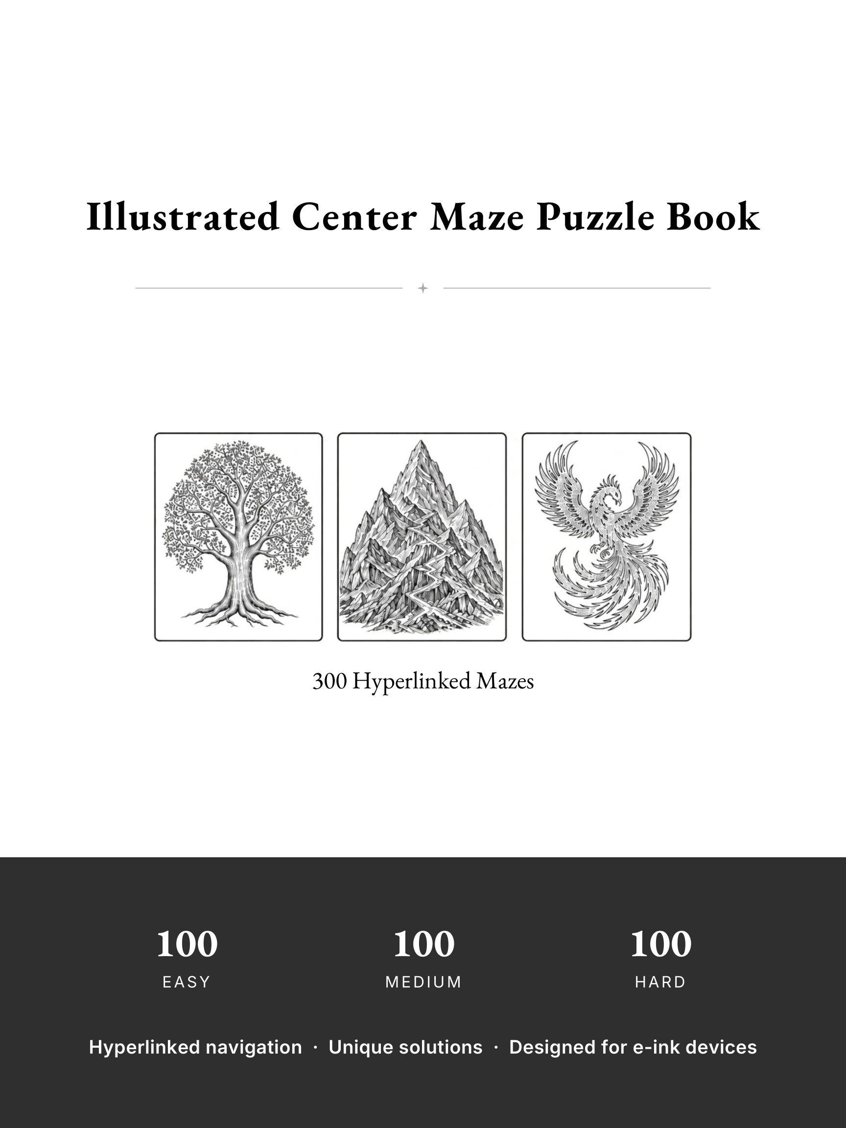 Illustrated Center Maze Puzzle Book cover
